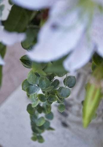 Faux Trailing Sedum