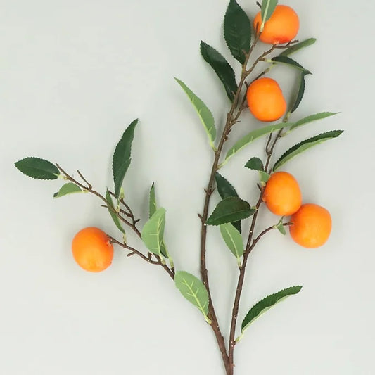 Clementine Branch