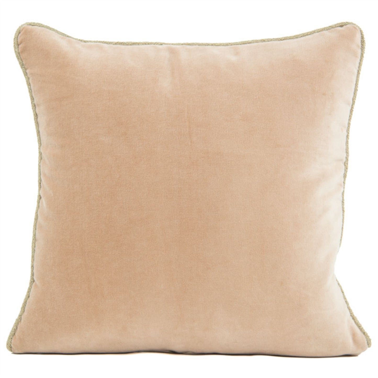 Blush Velvet Cushion