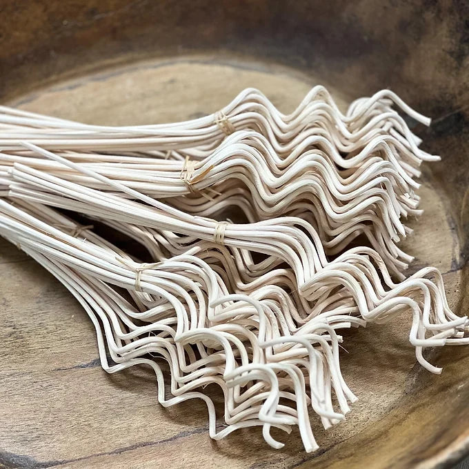 Curly Reeds Bundle of 10 | Shop Online | Joyful Living