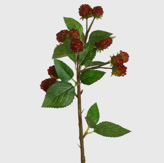 Faux Red Raspberry Stem