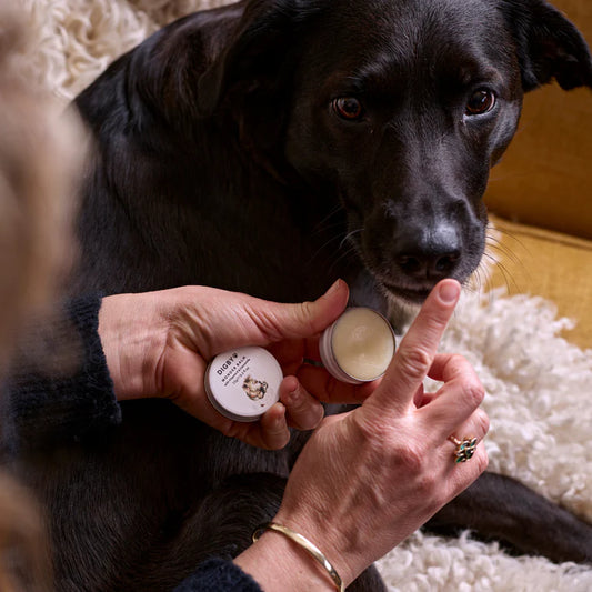 Digby Wonder Balm