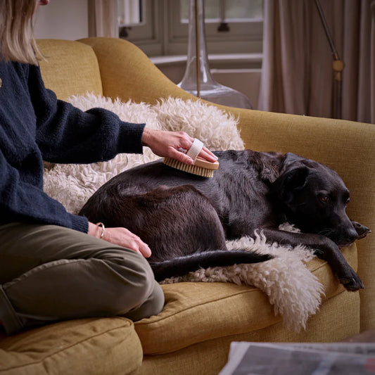 Digby Grooming Brush