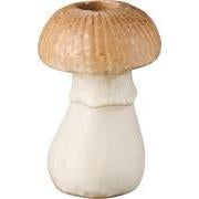 Mushroom Candleholders 3 Designs
