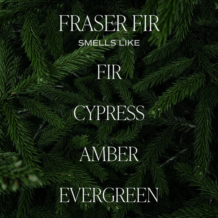 Seasonal Candle Fraser Fir